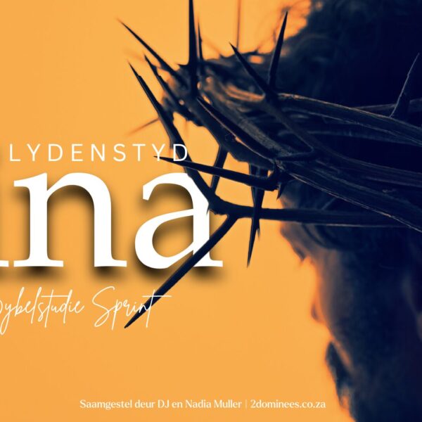 Nuwe Bybelstudie vir Lydenstyd