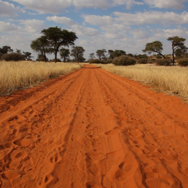 Beloftes van lig – Sleepvoet deur die Kalahari-sand